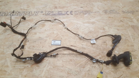 AUDI A6 C6 FRONT RIGHT SIDE DOOR WIRING LOOM 4F1971029CK