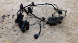 VW PASSAT B6 3C REAR LEFT SIDE DOOR WIRING LOOM 3C4971693HH