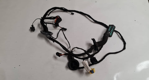 AUDI A5 S5 8F CONVERTIBLE FRONT RIGHT SIDE DOOR WIRING LOOM 8F0971029AQ